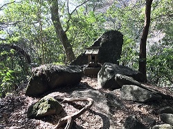 明けましておめでとうございます。