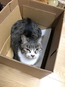 住宅ローン相談会を開催します！