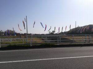 ブログ更新しました　４月申込で５０型テレビゲットだぜ！！