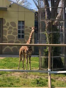ゴールデンウィークの過ごし方